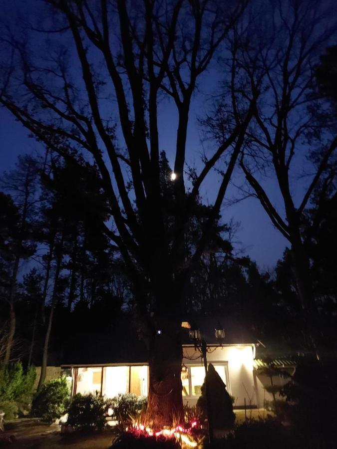 Fort Janowek Bagian luar foto